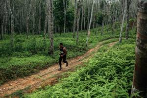 BIB: 
                            <button type="button" onclick="openModal(26339298)" class="btn btn-primary btn-sm float-right btn-popup" data-toggle="modal" data-target=".modal-high-quality">
                        <i class="fas fa-shopping-cart"></i> Add to Cart
                    </button>
                                            <button type="button" onclick="isThisMe(26339298, true)" class="btn btn-success btn-sm float-right btn-popup btn-isme hidden" data-toggle="tooltip" data-placement="bottom" title="นี่คือรูปของคุณใช่ไหม คลิกที่นี่เพื่อเอาเข้าอัลบั้ม">
                        <i class="fas fa-plus"></i> Add to album
                    </button>
                    <button type="button" onclick="isThisMe(26339298, false)" class="btn btn-warning btn-sm float-right btn-popup btn-isnotme hidden">
                        <i class="fas fa-ban"></i> Remove from album
                    </button>